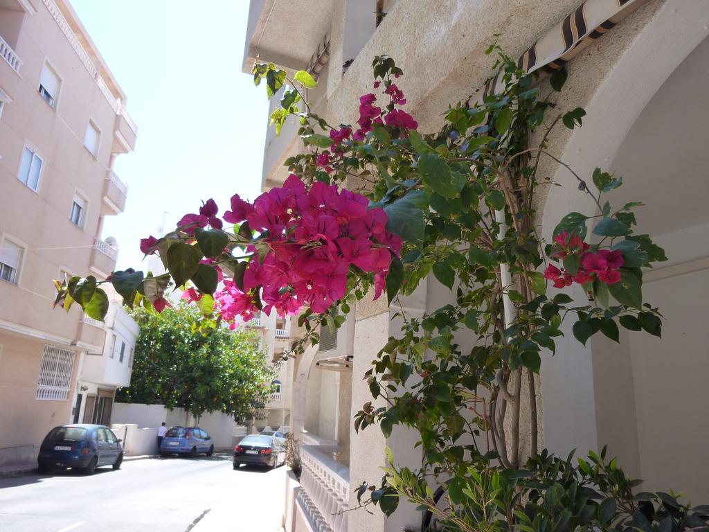 The Cozy Apartment Torrevieja Exterior foto